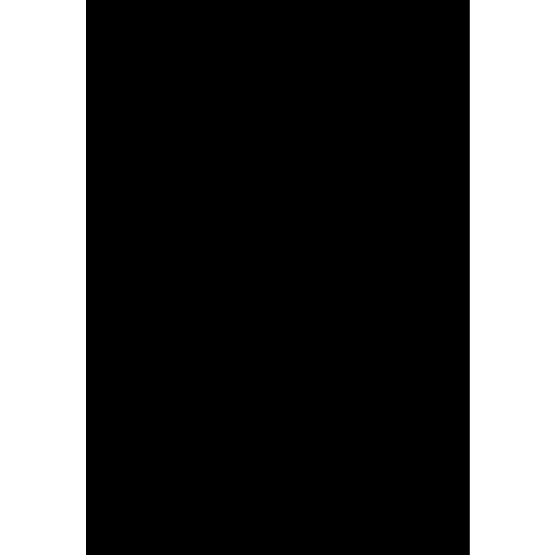 FALCON - DENNÝ diár, 14,2 x 20,4 cm, čierna, 2020