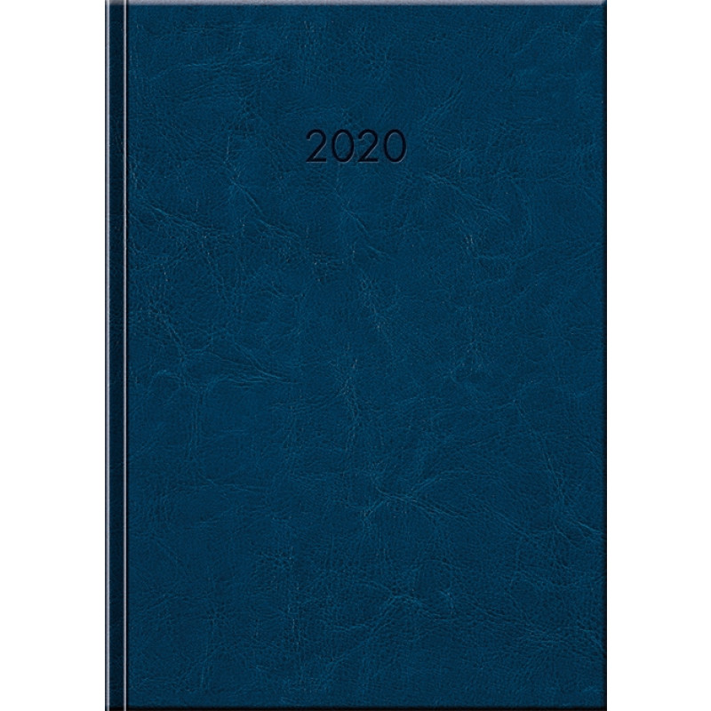 JUMBO - DENNÝ diár, 21 x 29,7 cm, 2020