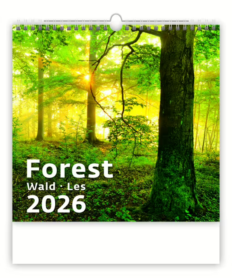 Nástěnný kalendář Forest/Wald/Les 2027
