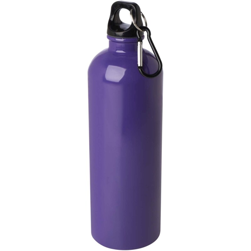 Jednostěnná láhev na vodu z nerezové oceli s karabinou 750ml, fialová