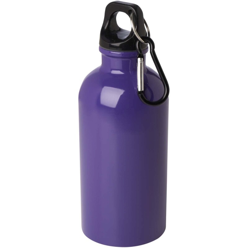Láhev na vodu z nerezové oceli s karabinou 400ml, fialová