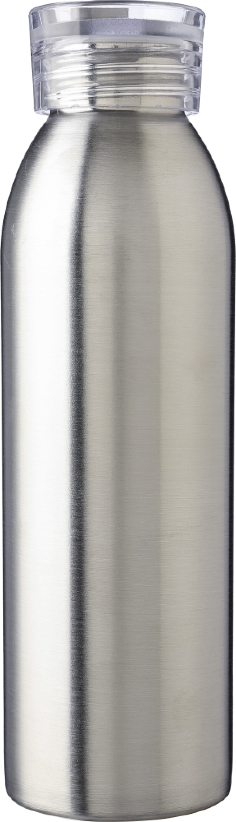 Nerezová lahev 650 ml, stříbrná