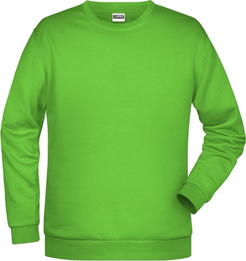 Pánská mikina James Nicholson sweatshirt men, jasně zelená, vel. L