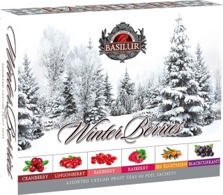 BASILUR- Winter Berries Assorted přebal 60 gastro sáčků