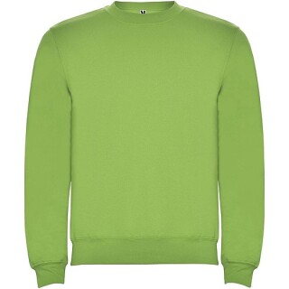 Dětská mikina s kulatým výstřihem, ROLY CLASICA, světle zelená, vel. 5/6