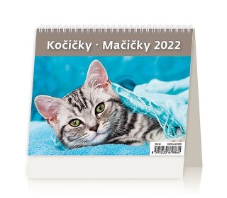 Minimax Kočičky 2027, stolní kalendář