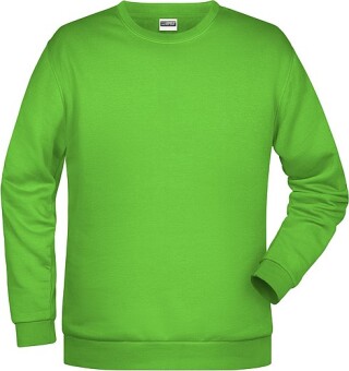 Pánská mikina James Nicholson sweatshirt men, jasně zelená, vel. XXL