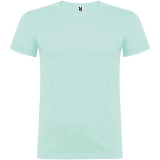 Pánské tričko s krátkým rukávem, ROLY BEAGLE, mátově zelená, vel. 3XL