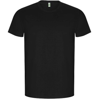 Pánské tričko s krátkým rukávem, ROLY GOLDEN, černá, vel. XL