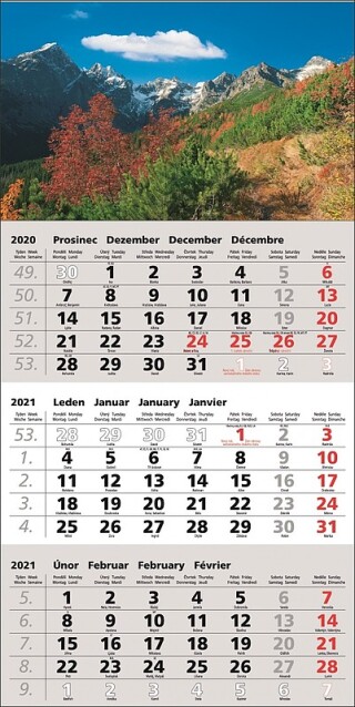 TŘÍMĚSÍČNÍ NÁSTĚNNÝ KALENDÁŘ šedý 2026